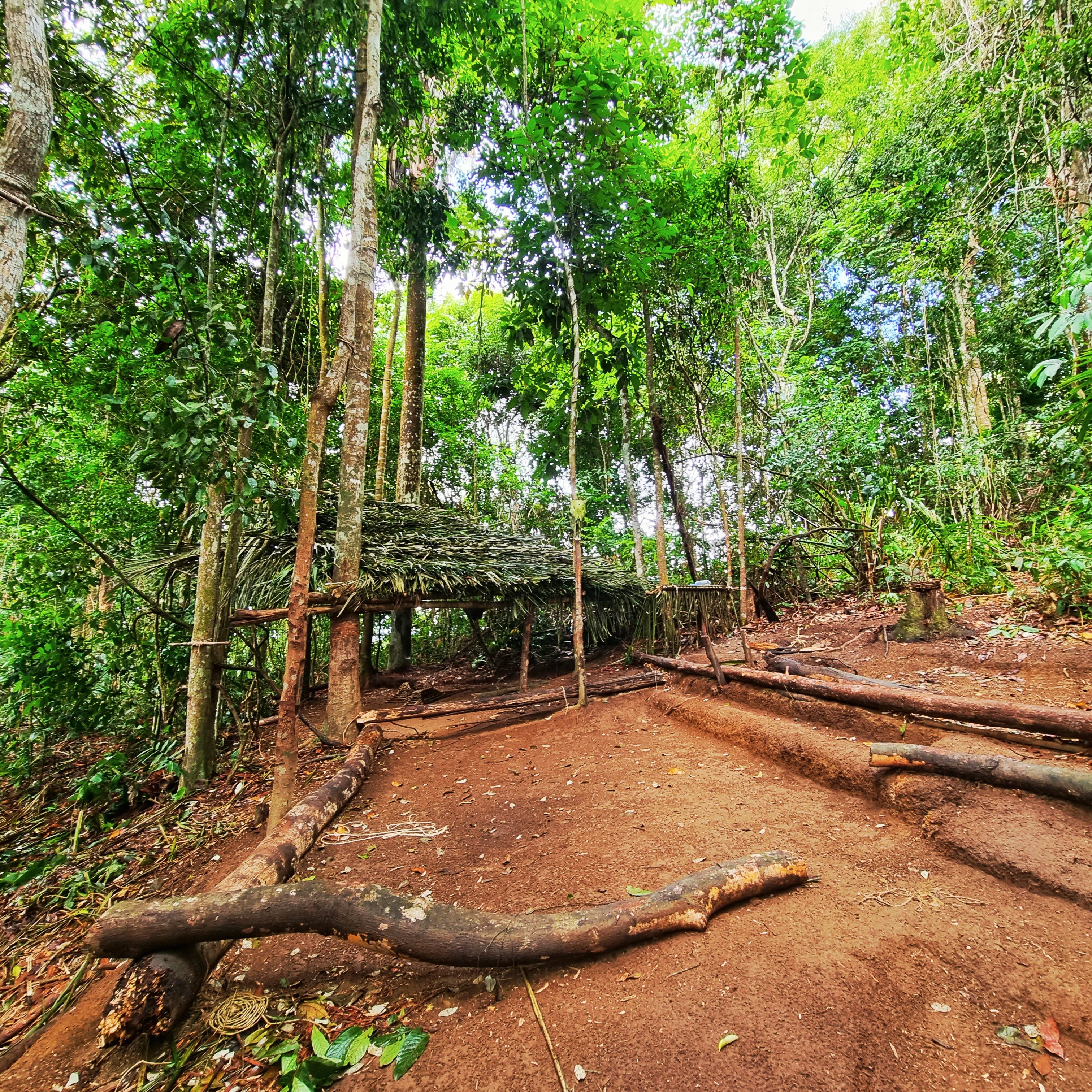 Caminho Ouricuri Mata
